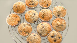 Blueberry Protein Muffins