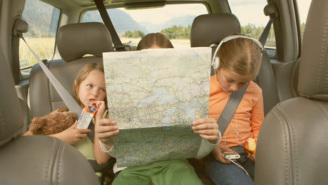 Road Trip Snacks: Pack for Success